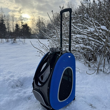 Koera/kassikandekott, kandekott koertele/kassidele