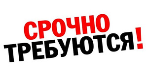 Подработка Таллинн (1 фото из 1)