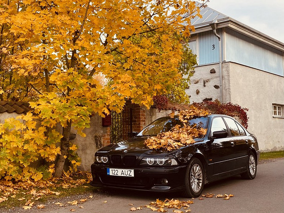 BMW E39 530D 2001
