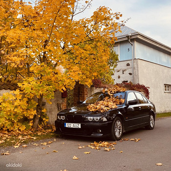 BMW E39 530D 2001