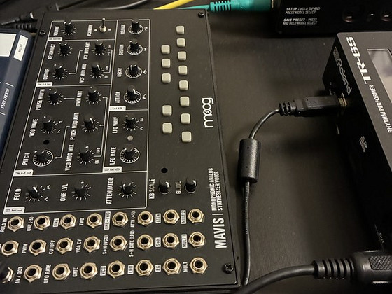 Moog Mavis аналоговый моносинтезатор