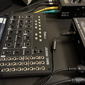 Moog Mavis analog monosynth