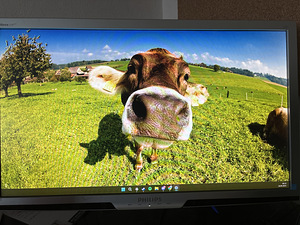 Монитор Philips 60hz 1920x1080 (4 фото из 4)