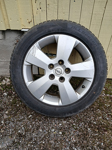 Rehv (1 foto / 4)