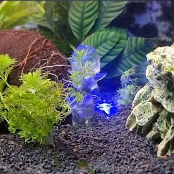 LED-lamp iminapaga akvaariumi / dekoratsiooni jaoks