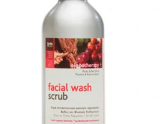 Mastic Spa Facial Wash Scrub Очищающий увлажняющий скраб для лица