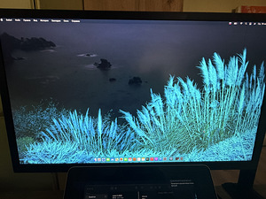 Monitor (2 foto / 4)