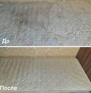 Аренда Kärcher Puzzi (2 фото из 4)
