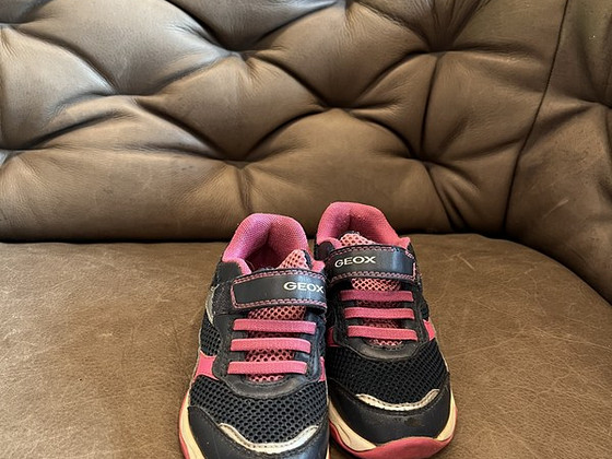 Geox 27