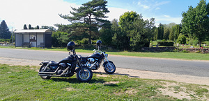 Kawasaki vn1500 (3 foto / 3)