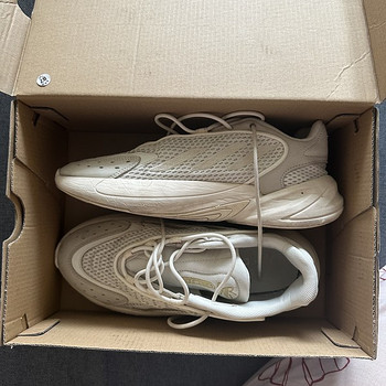 Adidas Ozelia