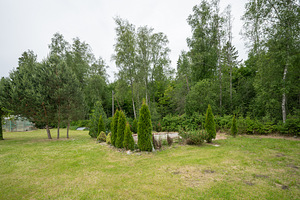 Noole tee, Kajamaa, Saku vald, Harjumaa (8 фото из 12)