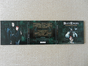 BLUTENGEL DÄMONEN:STURM (2 фото из 2)