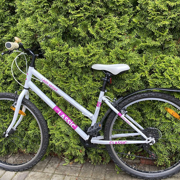 Classic Lady Sport 10