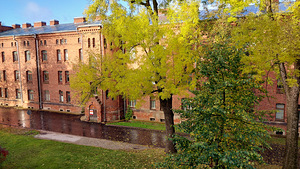 Haigla tn 4, Kreenholmi, Narva, Ida-Virumaa (6 foto / 10)