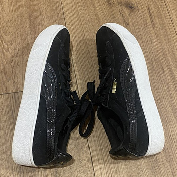 Puma tossud nr 40