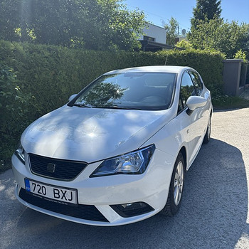 Seat Ibiza 2013a