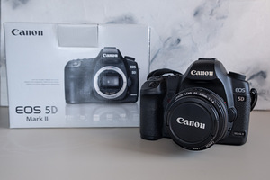 Комплект Canon EOS 5D Mark II + Canon EF 50mm f/1.4 USM (1 фото из 7)