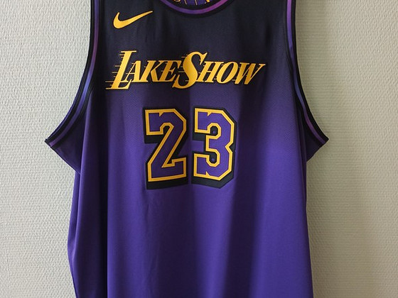 NBA LeBron James LA Lakers Nike Dri-FIT ADV аутентичная игро