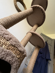 Кошачье дерево (3 фото из 3)