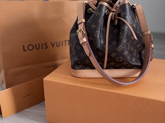 LV kott