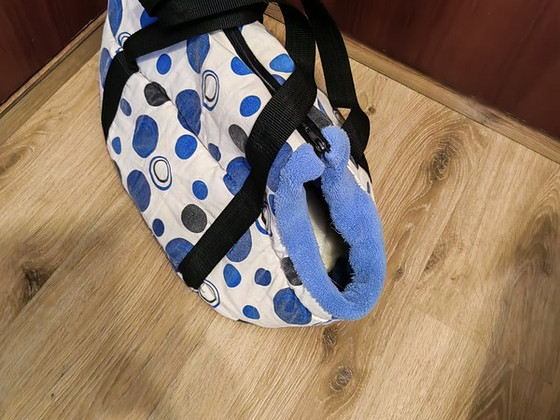 Lemmikloomade kandekott