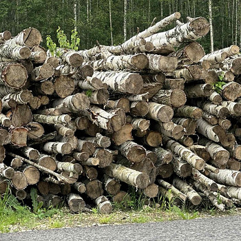 Müüa kasepuu küttepuid
