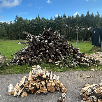 Müüa kasepuu küttepuid
