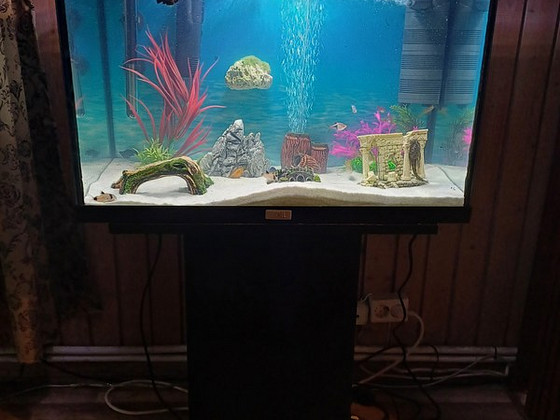 Akvaarum 60 l