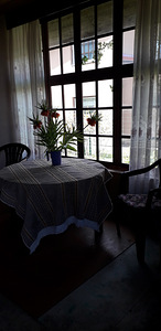 11390 Tallinn-Kloogaranna tee L16, Laulasmaa, Lääne-Harju vald, Harjumaa (3 foto / 26)