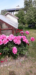 11390 Tallinn-Kloogaranna tee L16, Laulasmaa, Lääne-Harju vald, Harjumaa (25 foto / 26)