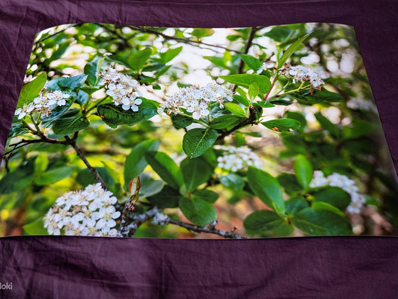 Фотокартина на стену 30х45 см