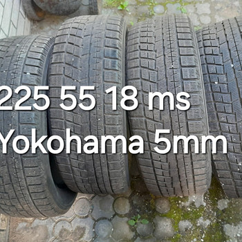 225 55 18 ms