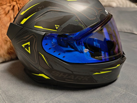 Shark skwal i3