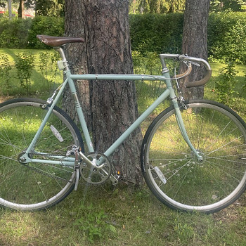Fuji Feather 57/58 L (2015) single gear / fixie jalgratas