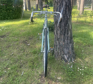 Fuji Feather 57/58 L (2015) single gear / fixie jalgratas (3 foto / 10)