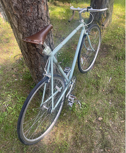 Fuji Feather 57/58 L (2015) single gear / fixie jalgratas (5 foto / 10)