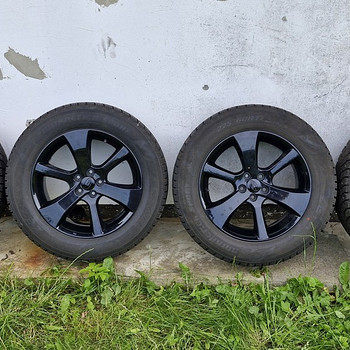 Subaru veljed talverehvidega