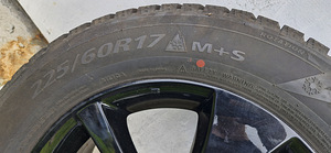 Subaru veljed talverehvidega (2 foto / 8)