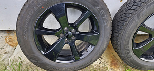 Subaru veljed talverehvidega (5 foto / 8)