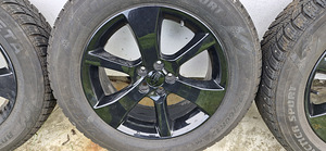 Subaru veljed talverehvidega (6 foto / 8)