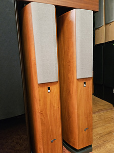 Audio Pro Avanter NINE aktiivne sub (2 фото из 6)