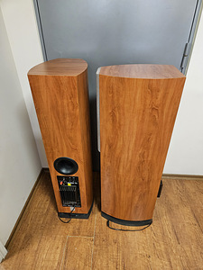 Audio Pro Avanter NINE aktiivne sub (4 фото из 6)