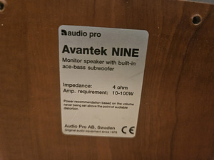 Audio Pro Avanter NINE aktiivne sub (5 фото из 6)