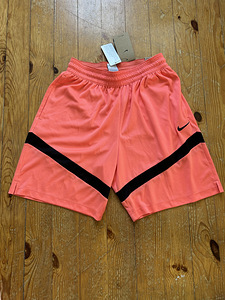 Uued Nike Dri-Fit meeste lühikesed püksid (1 foto / 5)
