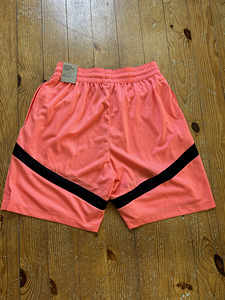 Uued Nike Dri-Fit meeste lühikesed püksid (3 foto / 5)