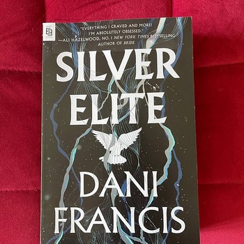 Silver Elite - Dani Francis (book ENG)