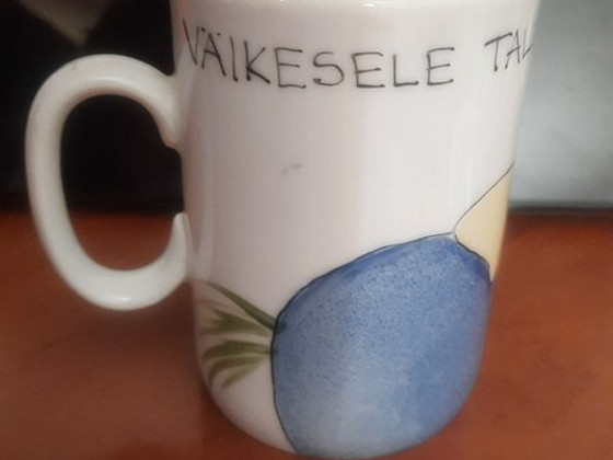 Кружка "маленькому таллинцу" väikesele tallinlasele
