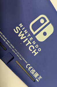 Mängukonsool Nintendo Switch Lite + Laadija + Karp (5 foto / 6)