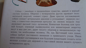 Raamat (5 foto / 9)
